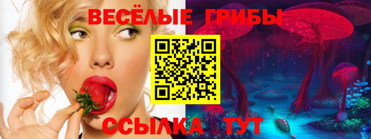где купить   Псилоцибиновые грибы ЛСД  Псилоцибиновые грибы мухоморы  Вход с VPN  Павловский Посад 