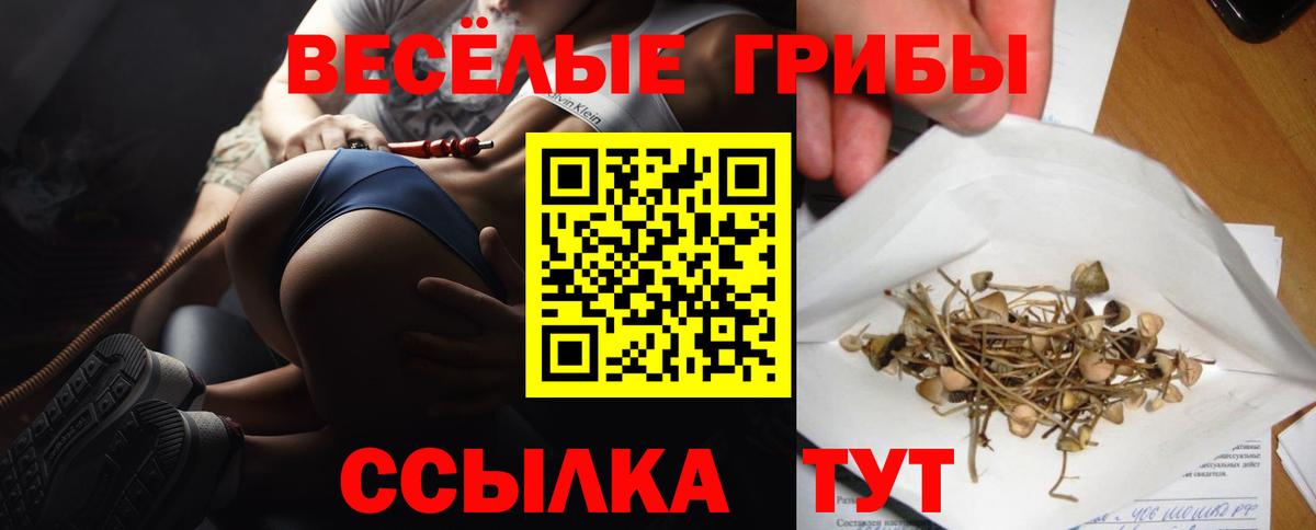 Меф Павловский Посад