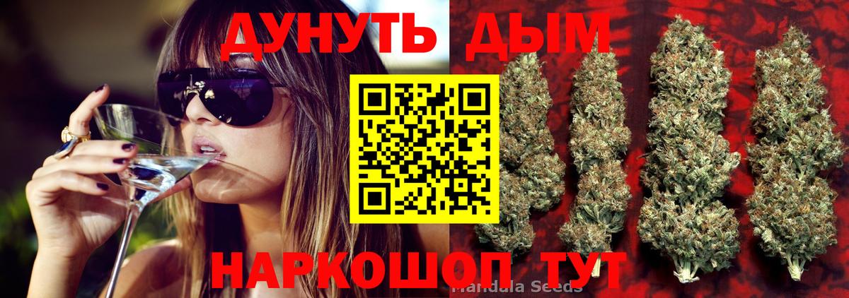 Каннабис ГИДРОПОН Павловский Посад